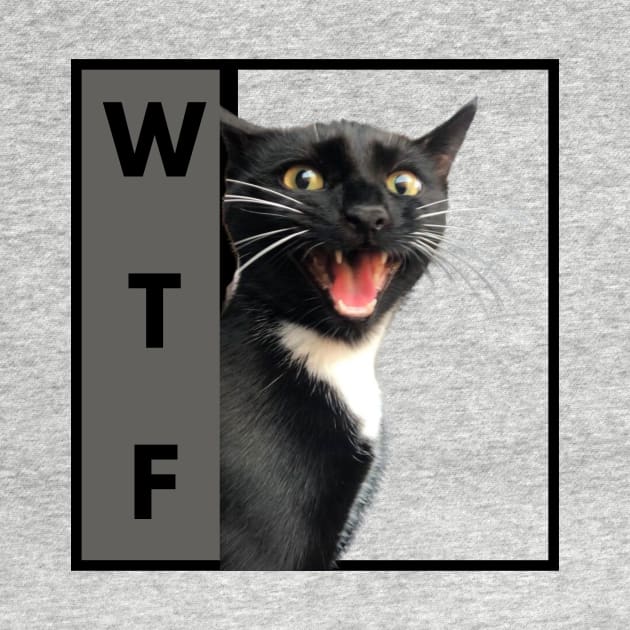 WTF Cat by RAndG